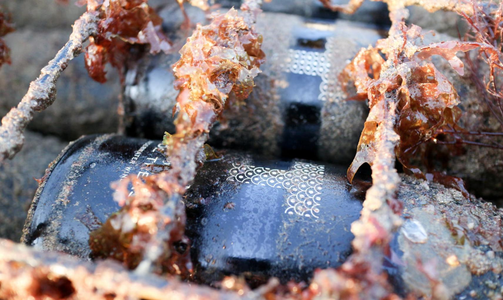 Từ kho báu đắm tàu đến xu hướng “hầm rượu” dưới đáy đại dương